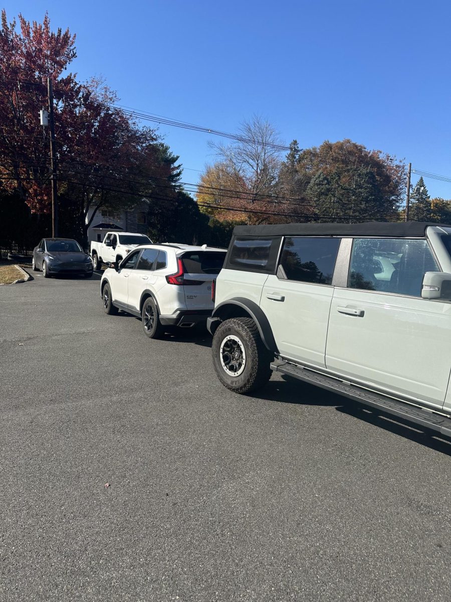 Two cars illegally parked not in a spot. 
Photo courtesy of Lola Brown