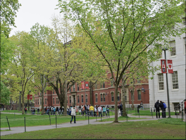 Students at Harvard University