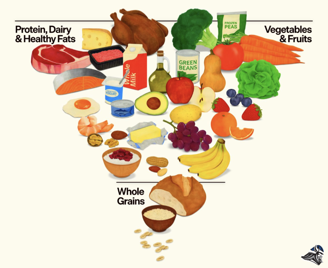 The new Food Pyramid.