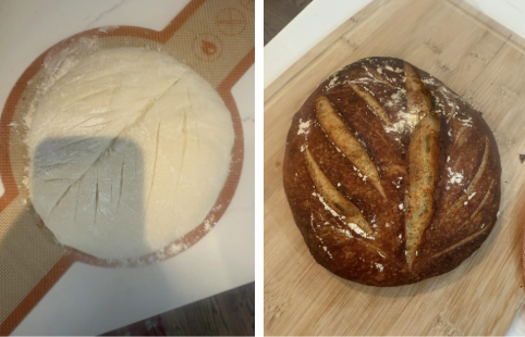 Before and after cooking a sourdough loaf 