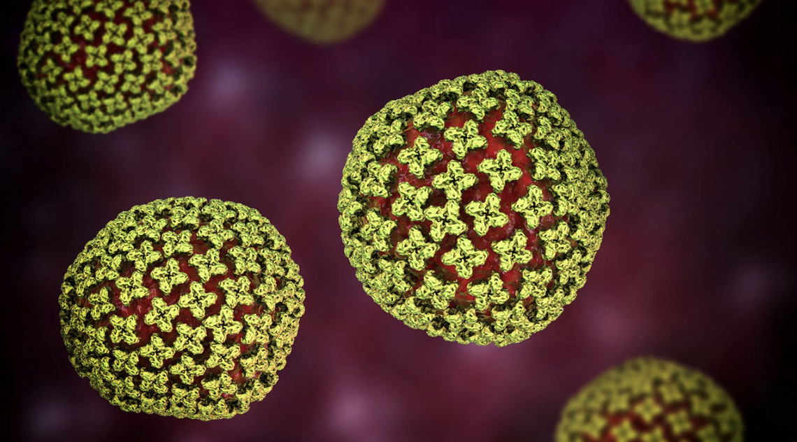 Hantavirus bacteria.