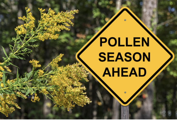 Caution Sign - Pollen Season Ahead.
